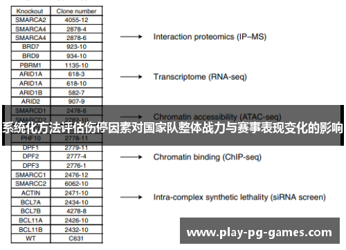 系统化方法评估伤停因素对国家队整体战力与赛事表现变化的影响 系统化方法评估伤停因素对国家队整体战力与赛事表现变化的影响